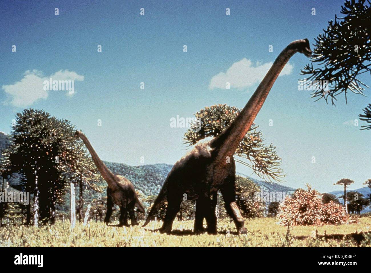 Diplodocus Film Walking with Dinosaurs (1999) 01. Mai 1999 **WARNUNG** dieses Foto ist nur für redaktionelle Zwecke bestimmt und unterliegt dem Urheberrecht von BBC und/oder dem von der Film- oder Produktionsgesellschaft beauftragten Fotografen und kann nur durch Veröffentlichungen in Verbindung mit der Werbung für den oben genannten Film reproduziert werden. Eine obligatorische Gutschrift an die BBC ist erforderlich. Der Fotograf sollte ebenfalls angerechnet werden, wenn er bekannt ist. Ohne schriftliche Genehmigung der Film Company kann keine kommerzielle Nutzung gewährt werden. Stockfoto