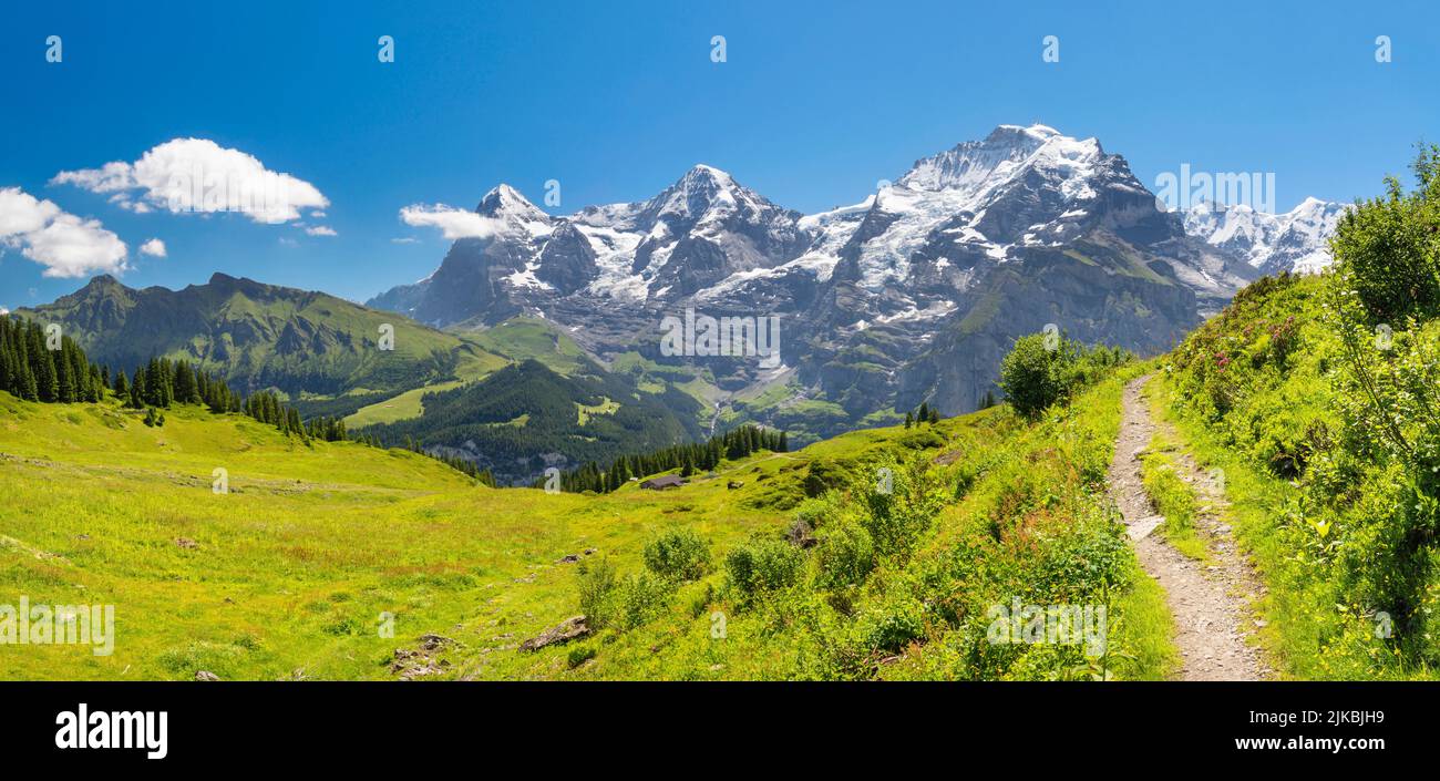 Das Panorama der Berner alpen mit der Jungfrau, dem Mönch und dem Eiger. Stockfoto