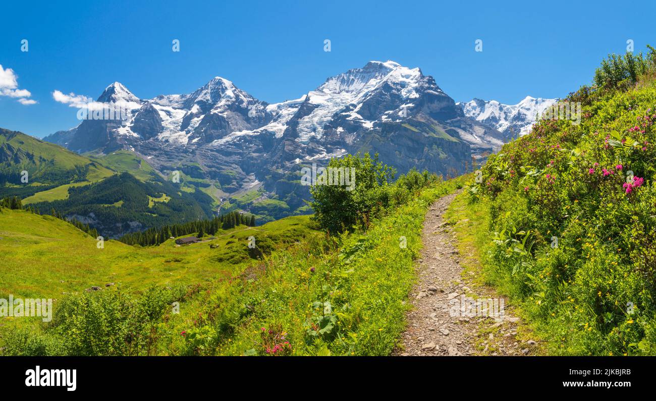 Die Berner alpen mit der Jungfrau, dem Mönch und dem Eiger. Stockfoto