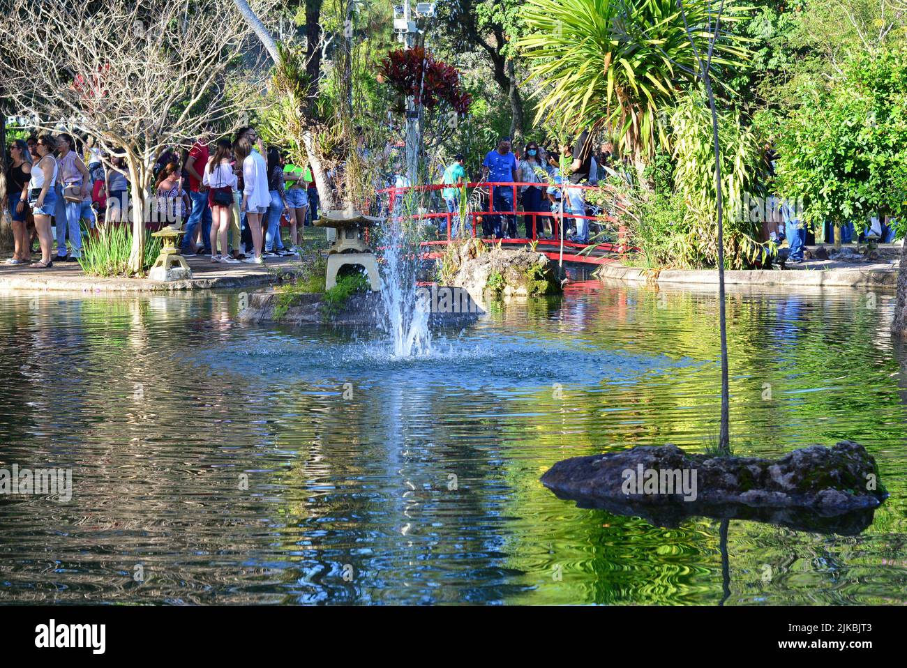 Touristen besuchen einen japanischen Garten bei einem Kirschblütenfest im Inneren von Brasilien, Panoramafoto, Vordergrundsee, Hintergrundmenschen und tr Stockfoto