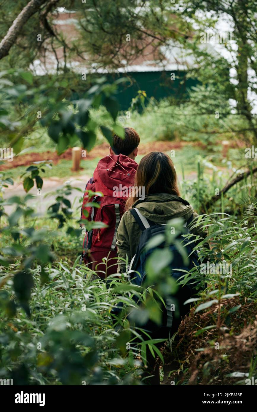 Freunde wandern gemeinsam im Wald, Blick von hinten Stockfoto