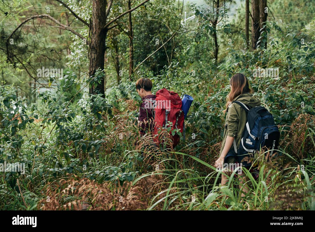 Junge Menschen mit riesigen Rucksäcken wandern gemeinsam im Wald Stockfoto