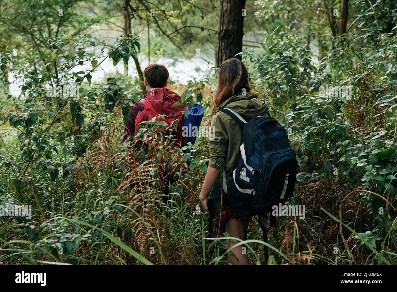 Menschen mit großen Rucksäcken wandern im Wald Stockfoto