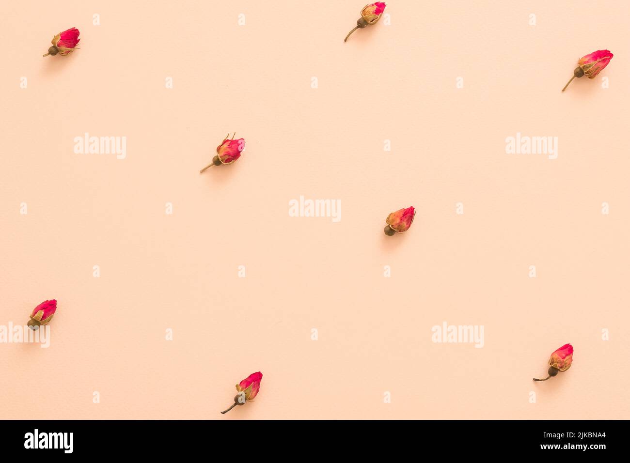 Trockene rote Rosenknospen Pfirsich Blumenmuster Hintergrund Stockfoto