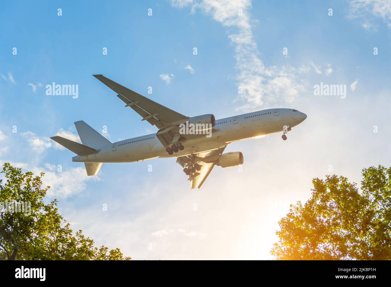 Flugzeug fliegt während des Sonnenuntergangs über den Bäumen Stockfoto