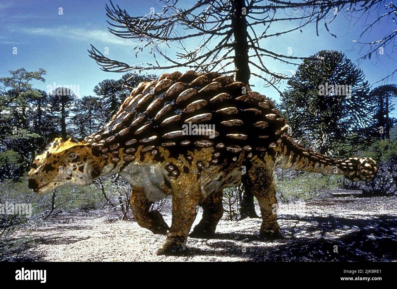 Ankylosauius Film Walking with Dinosaurs (1999) 01. Mai 1999 **WARNUNG** dieses Foto ist nur für redaktionelle Zwecke bestimmt und unterliegt dem Copyright der BBC und/oder des von der Film- oder Produktionsgesellschaft beauftragten Fotografen und kann nur durch Veröffentlichungen in Verbindung mit der Werbung für den oben genannten Film reproduziert werden. Eine obligatorische Gutschrift an die BBC ist erforderlich. Der Fotograf sollte ebenfalls angerechnet werden, wenn er bekannt ist. Ohne schriftliche Genehmigung der Film Company kann keine kommerzielle Nutzung gewährt werden. Stockfoto