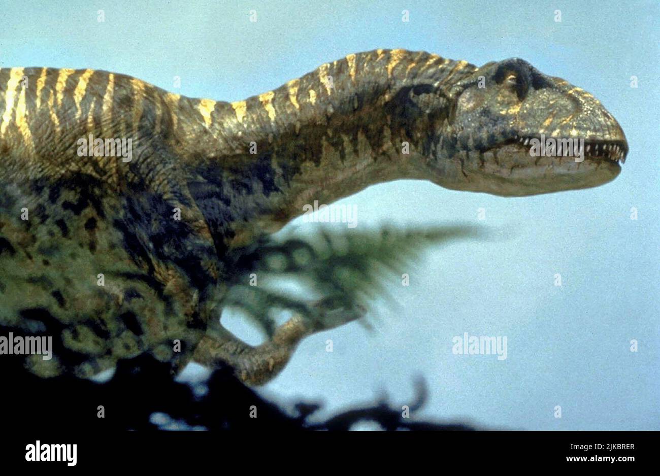 Allosaurus Film Walking with Dinosaurs (1999) 01. Mai 1999 **WARNUNG** dieses Foto ist nur für redaktionelle Zwecke bestimmt und unterliegt dem Urheberrecht von BBC und/oder dem von der Film oder Production Company beauftragten Fotografen und kann nur durch Veröffentlichungen in Verbindung mit der Werbung für den oben genannten Film reproduziert werden. Eine obligatorische Gutschrift an die BBC ist erforderlich. Der Fotograf sollte ebenfalls angerechnet werden, wenn er bekannt ist. Ohne schriftliche Genehmigung der Film Company kann keine kommerzielle Nutzung gewährt werden. Stockfoto