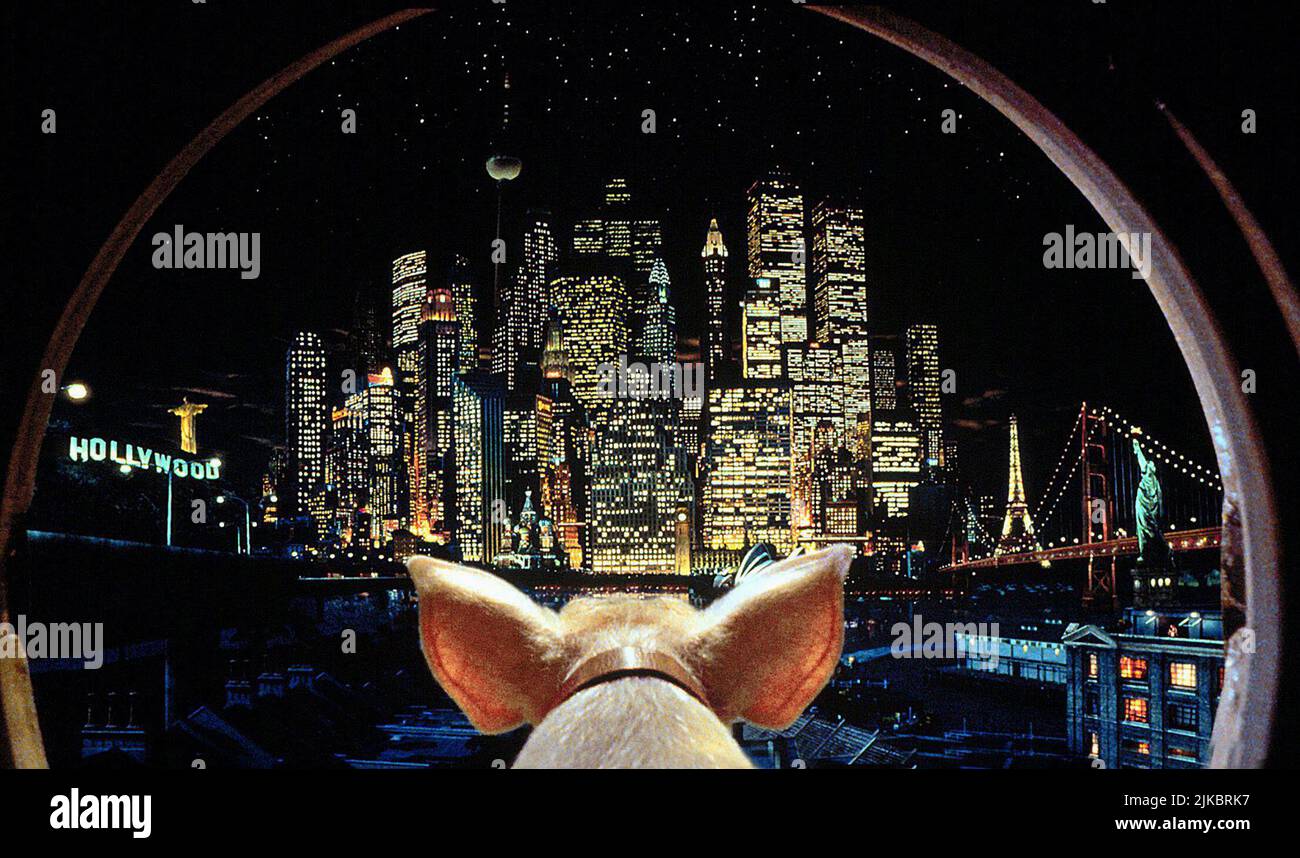 Babe Film: Babe: Schwein in der Stadt (AUS 1998) Regie: George Miller 25. November 1998 **WARNUNG** Dieses Foto ist nur für redaktionelle Zwecke bestimmt und unterliegt dem Copyright von KENNEDY MILLER PRODUCTIONS und/oder des Fotografen, der von der Film oder Production Company beauftragt wurde.Es kann nur von Publikationen im Zusammenhang mit der Bewerbung des oben genannten Films reproduziert werden. Eine obligatorische Gutschrift für KENNEDY MILLER-PRODUKTIONEN ist erforderlich. Der Fotograf sollte auch bei Bekanntwerden des Fotos gutgeschrieben werden. Ohne schriftliche Genehmigung der Film Company kann keine kommerzielle Nutzung gewährt werden. Stockfoto