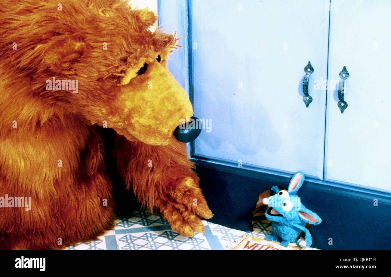 Bear Inthe Big Blue House Beauty Of The Night Bear in the big blue house -Fotos und -Bildmaterial in hoher Auflösung