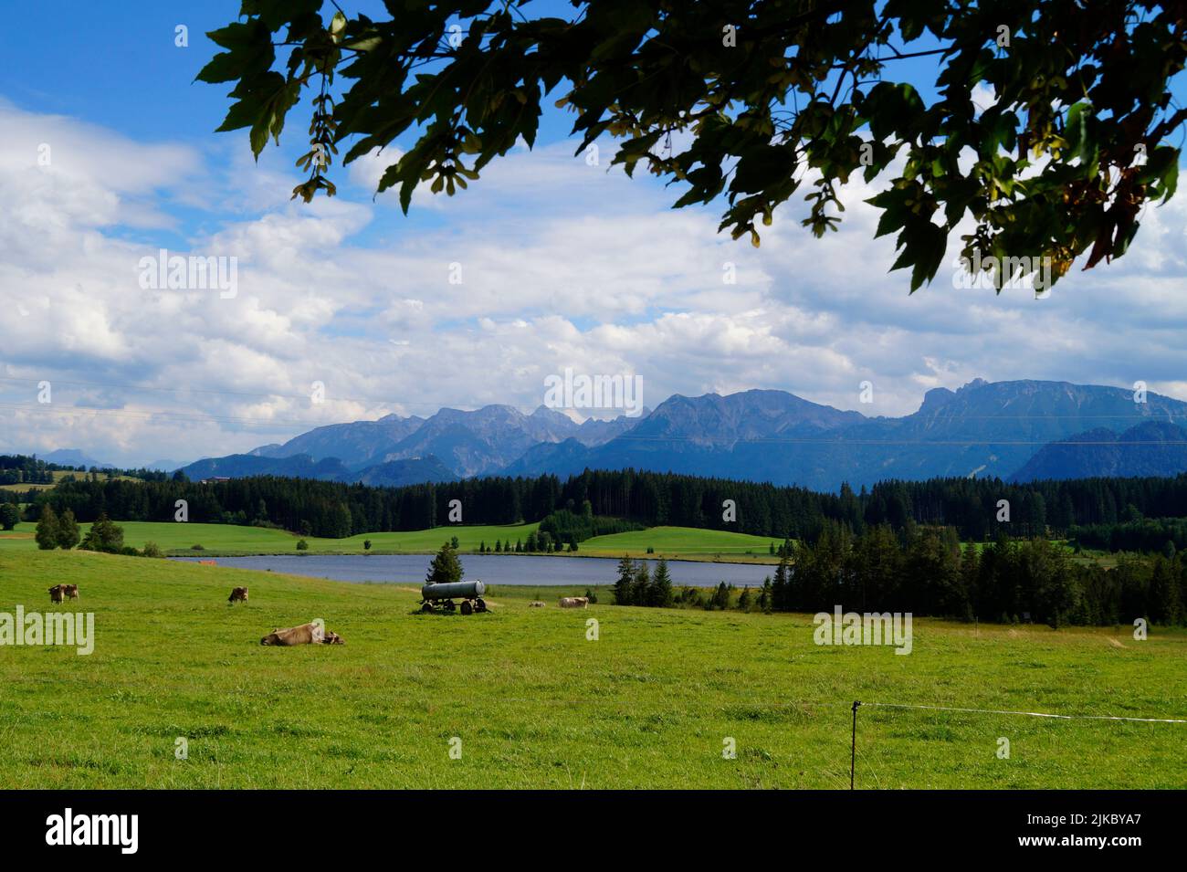 Wanderweg mit Blick auf den malerischen Attlesee in den bayerischen Alpen, Nesselwang, Allgäu oder Allgau, Deutschland Stockfoto
