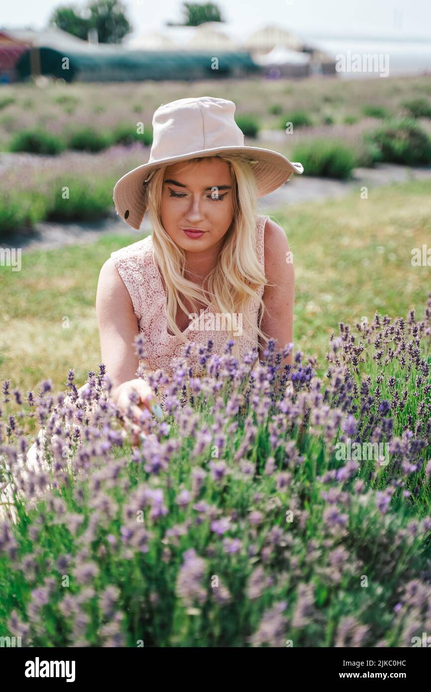 yonge Frau mit Hut und Blick auf Lavendel auf einer Lavendelfarm an einem heißen sonnigen Sommertag Stockfoto