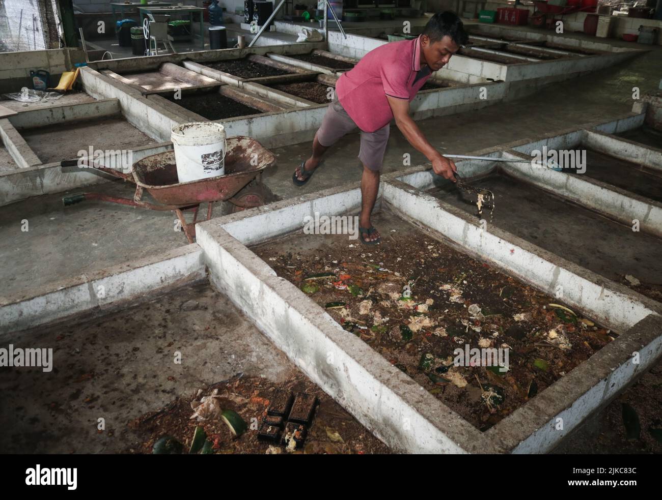 Banyuwangi, Ost-Java, Indonesien. 1. August 2022. Ilham (29Â Jahre) füttert am 1. August Maggot aus Küchenabfällen und organischen Abfällen im Dorf Siliragung, Banyuwangi, Ost-Java, Indonesien, 2022.die Maggot-Landwirtschaft wird aus Küchenabfällen eines Bergbauunternehmens und traditionellen Marktabfällen hergestellt. In einem Monat produziert er 100 Kilogramm. Es verkauft für (Nassmaggot) USD 0, 28/Kilogramm und (Trockenmaggot) für USD 5, 38/Kilogramm. Darüber hinaus produzieren sie Kompost für USDÂ 2, 36/25 Kilogramm und Bodendünger Booster für USD 0, 47/Kilogramm. Maggot BSF (Black Soldier Fly) ist die Larve von a la Stockfoto
