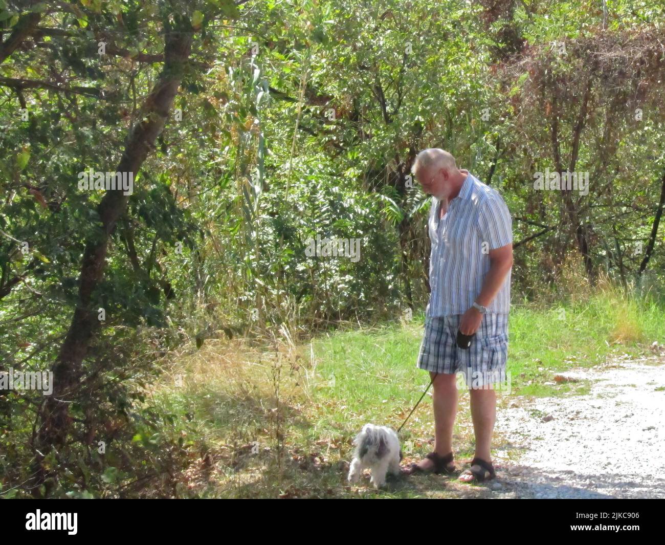Mann geht mit seinem Hund Stockfoto