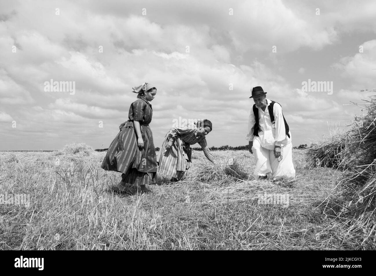 Eine Graustufenaufnahme von Menschen in traditionellen serbischen Kleidern, die die Weizenernte von Hand sammeln Stockfoto