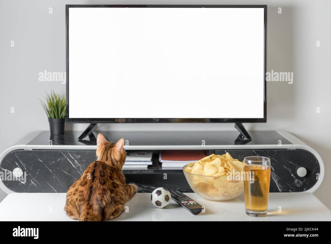 Katze, Bier und Snacks auf dem Hintergrund eines leeren Fernsehbildschirms. Leere Vorlage. Stockfoto
