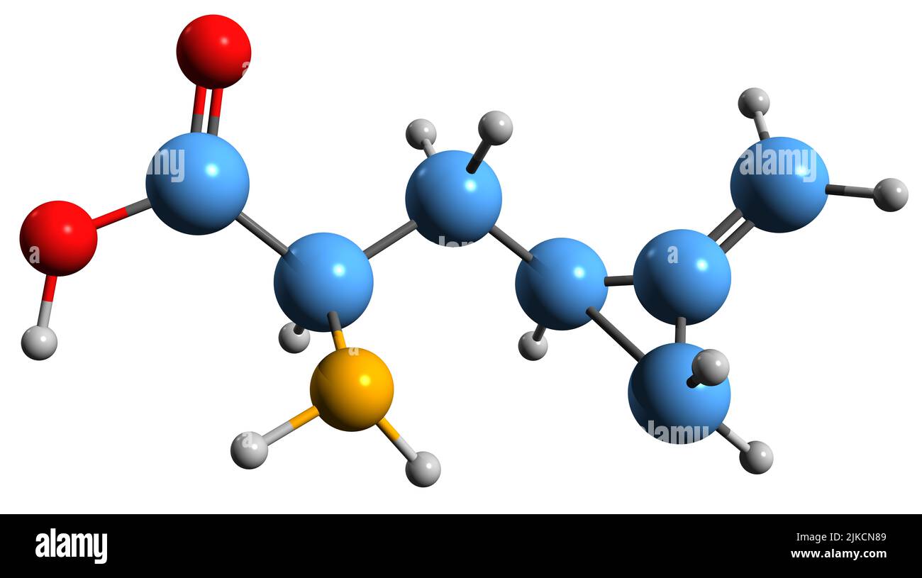 3D Bild von Hypoglycin Eine Skelettformel - molekulare chemische Struktur des Aminosäurederivats auf weißem Hintergrund isoliert Stockfoto
