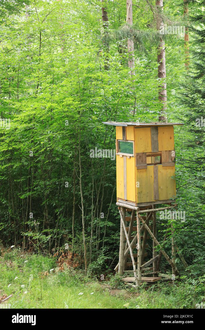 Typischer Jägersitz in einem Wald in Niederösterreich zur Jagd auf verschiedene Arten von Wildtieren, z.B. Hirsch Stockfoto
