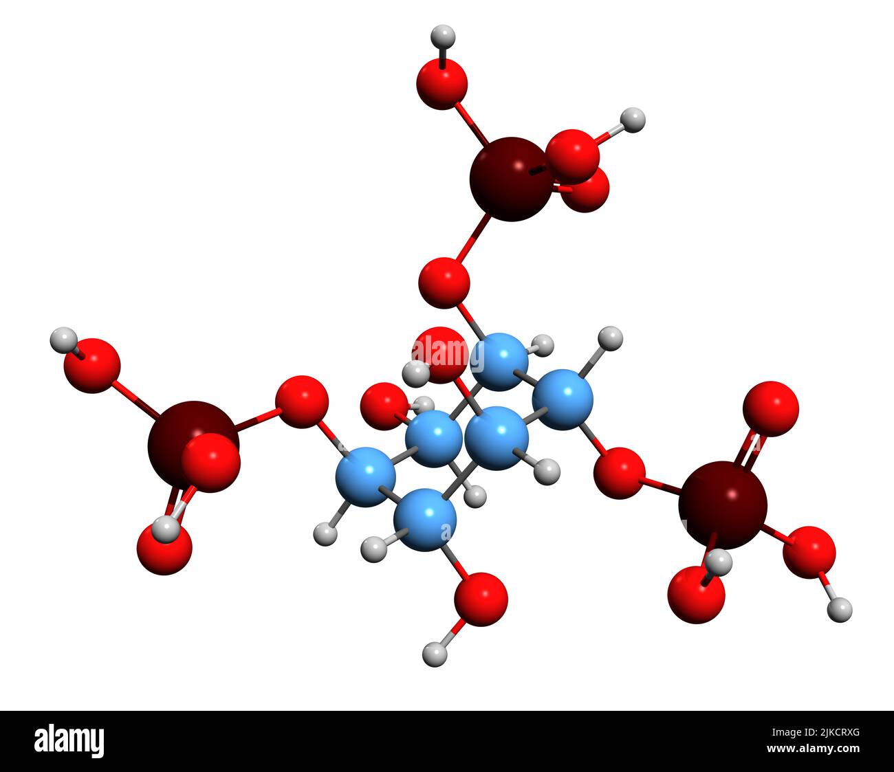 3D Bild der Inositol-Trisphosphat-Skelettformel - molekulare chemische Struktur des Inositolphosphat-Signalmoleküls, das auf weißem Backgro isoliert ist Stockfoto