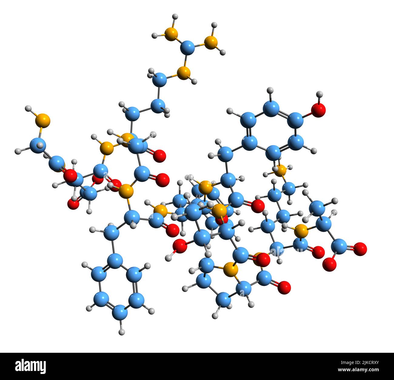 3D Abbildung der Skelettformel von Insulin B - molekularchemische Struktur des Peptidhormons auf weißem Hintergrund isoliert Stockfoto