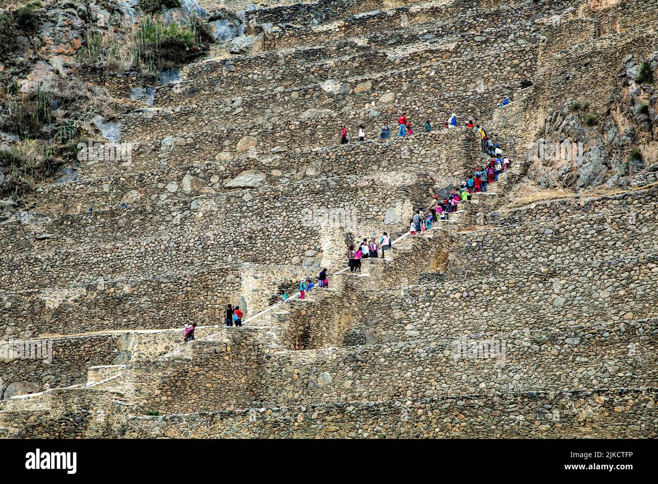 Menschen, die landwirtschaftliche Terrassen, Inka-Ruinen von Ollantaytambo, Ollantaytambo, Urubamba, Cusco, Peru Stockfoto