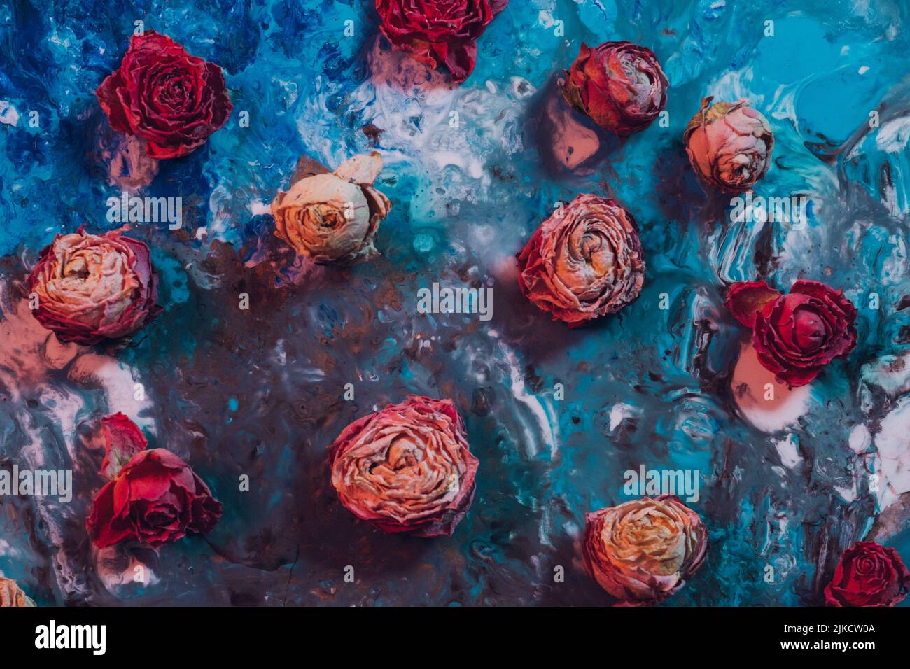 Vintage floral Art Magenta verblasste Rose Knospen Farbe Stockfoto