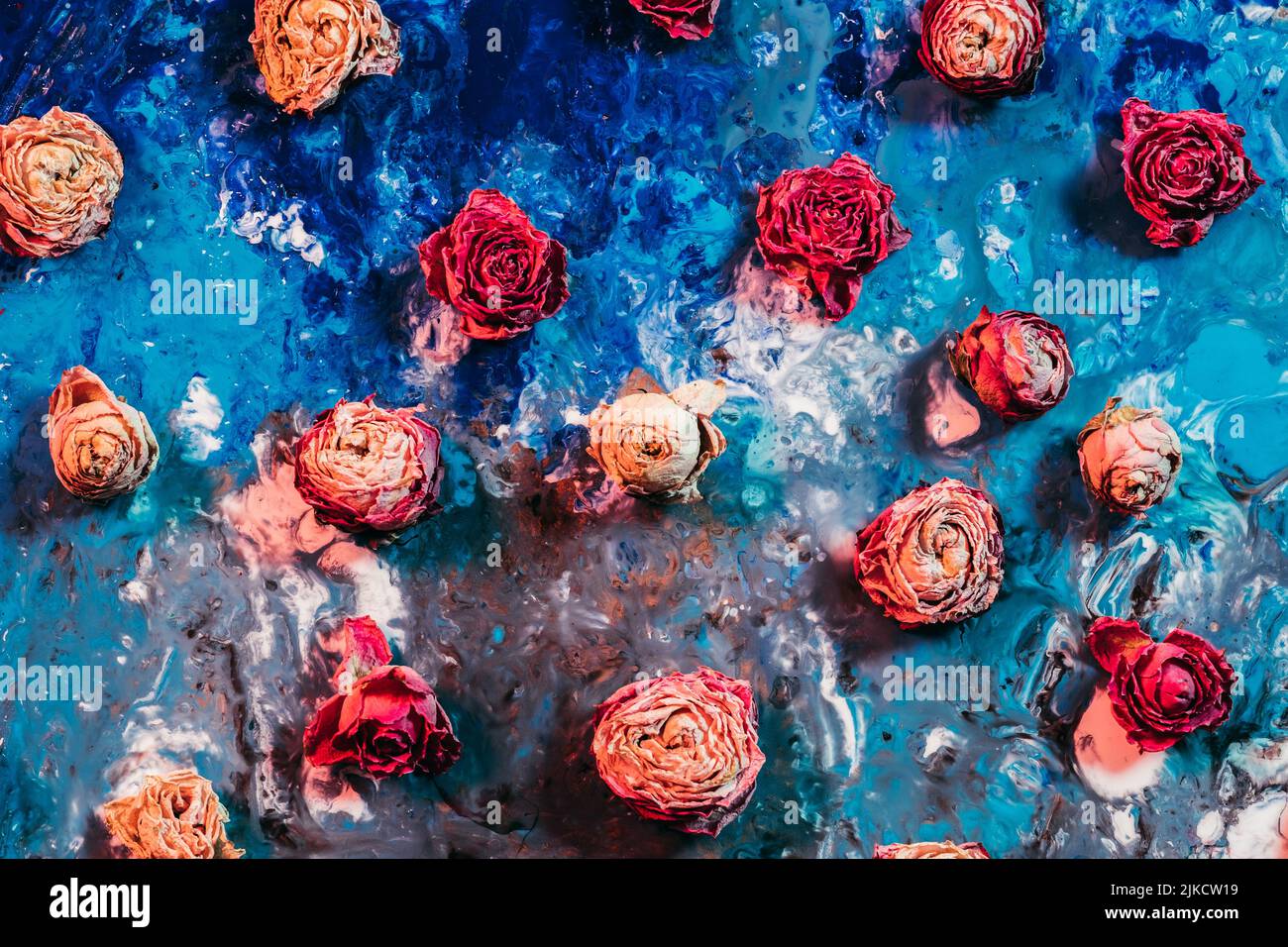 Vintage floral Art rosa getrocknete Rose Knospen Farbe Stockfoto