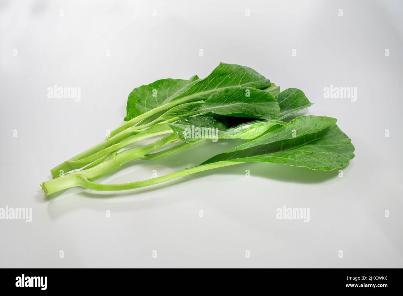 Grüner und frischer chinesischer Grünkohl, chinesisches Brokkoli-Gemüse isoliert auf weißem Hintergrund, verstärken den natürlichen Geschmack des Grüns. Stockfoto