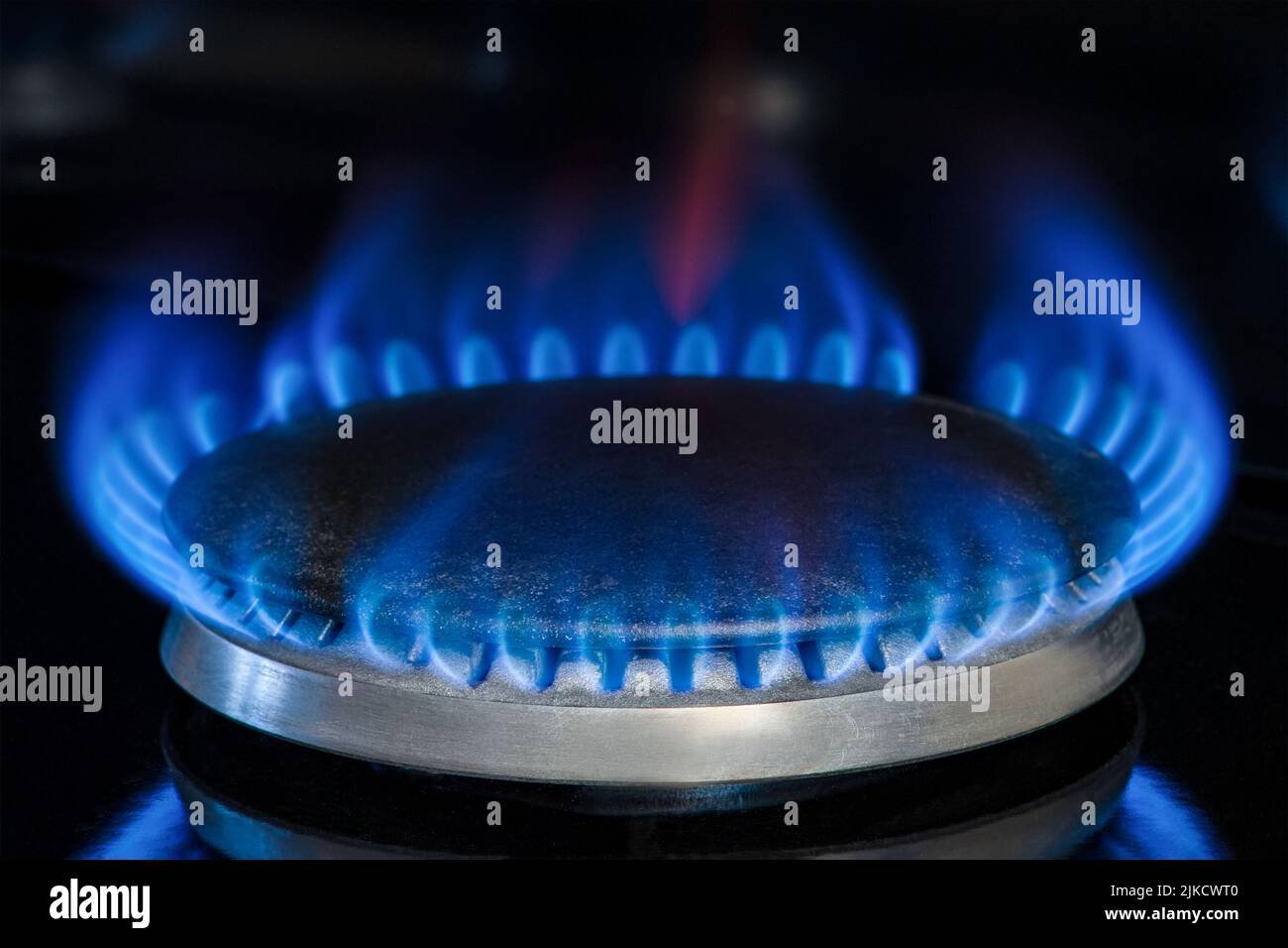 Verbrennung von Erdgas, Propan. Gasherd auf schwarzem Hintergrund. Fragment eines Gas-Küchenofens mit blauer Flamme, Nahaufnahme. Energiekrise Stockfoto