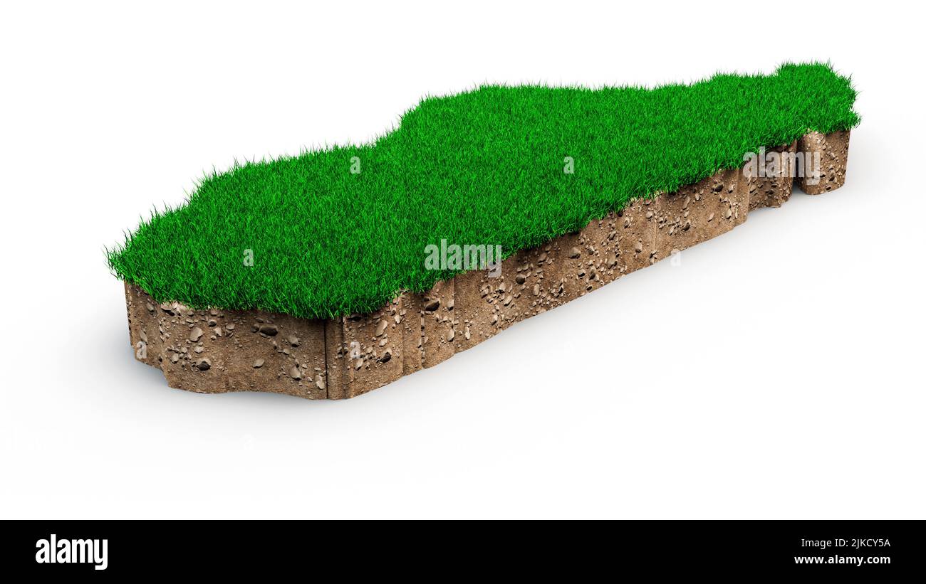 Eine Darstellung der Madagaskar-Karte aus grünem Gras aus dem Jahr 3D Stockfoto