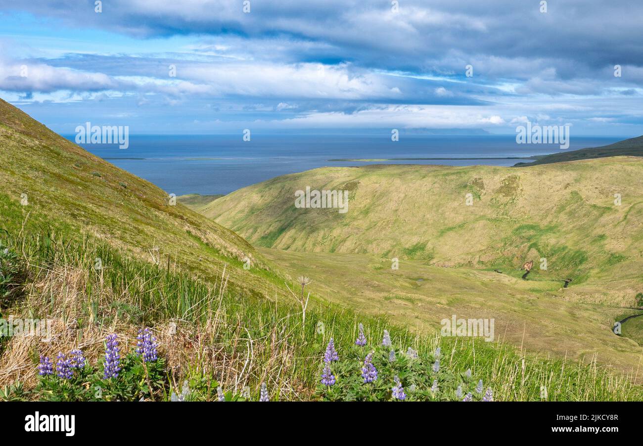 Von der Adaks Shagak Bay aus kann man die Klippen der Kanaga Island