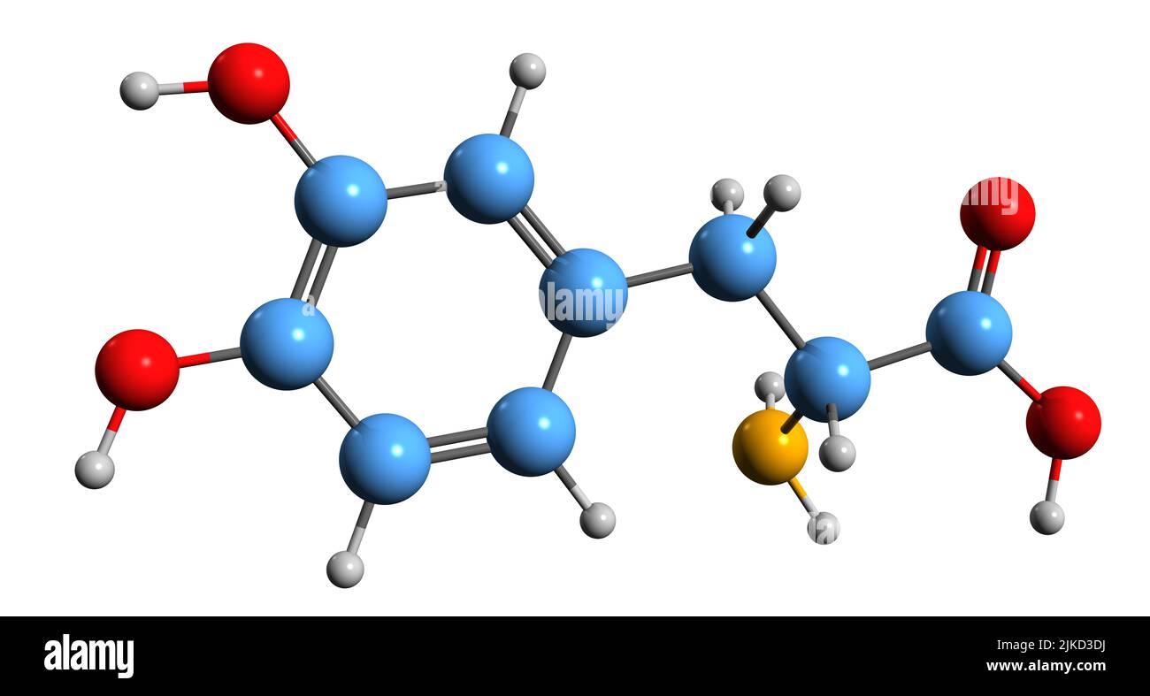 3D Bild der Skelettformel von Levodopa - molekulare chemische Struktur des psychoaktiven Medikaments auf weißem Hintergrund isoliert Stockfoto