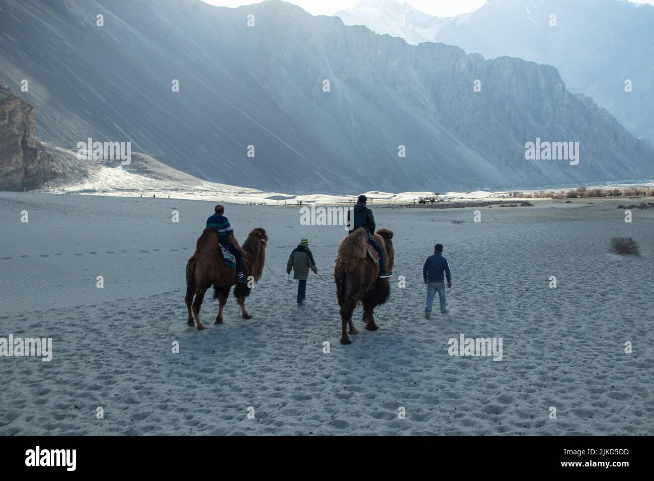 Malerische Aussicht auf Reisende, die die Joy Ride des Double Hump Camel Ride in Dessert of Nubra Valley genießen. Die Besten Touristischen Destinationen Von Ladakh Leh Stockfoto