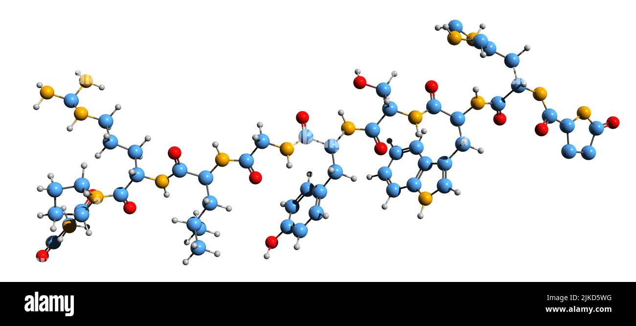 3D Bild der Skelettformel von Luliberin - molekularchemische Struktur des auf weißem Hintergrund isolierten Decapeptidhormons Stockfoto
