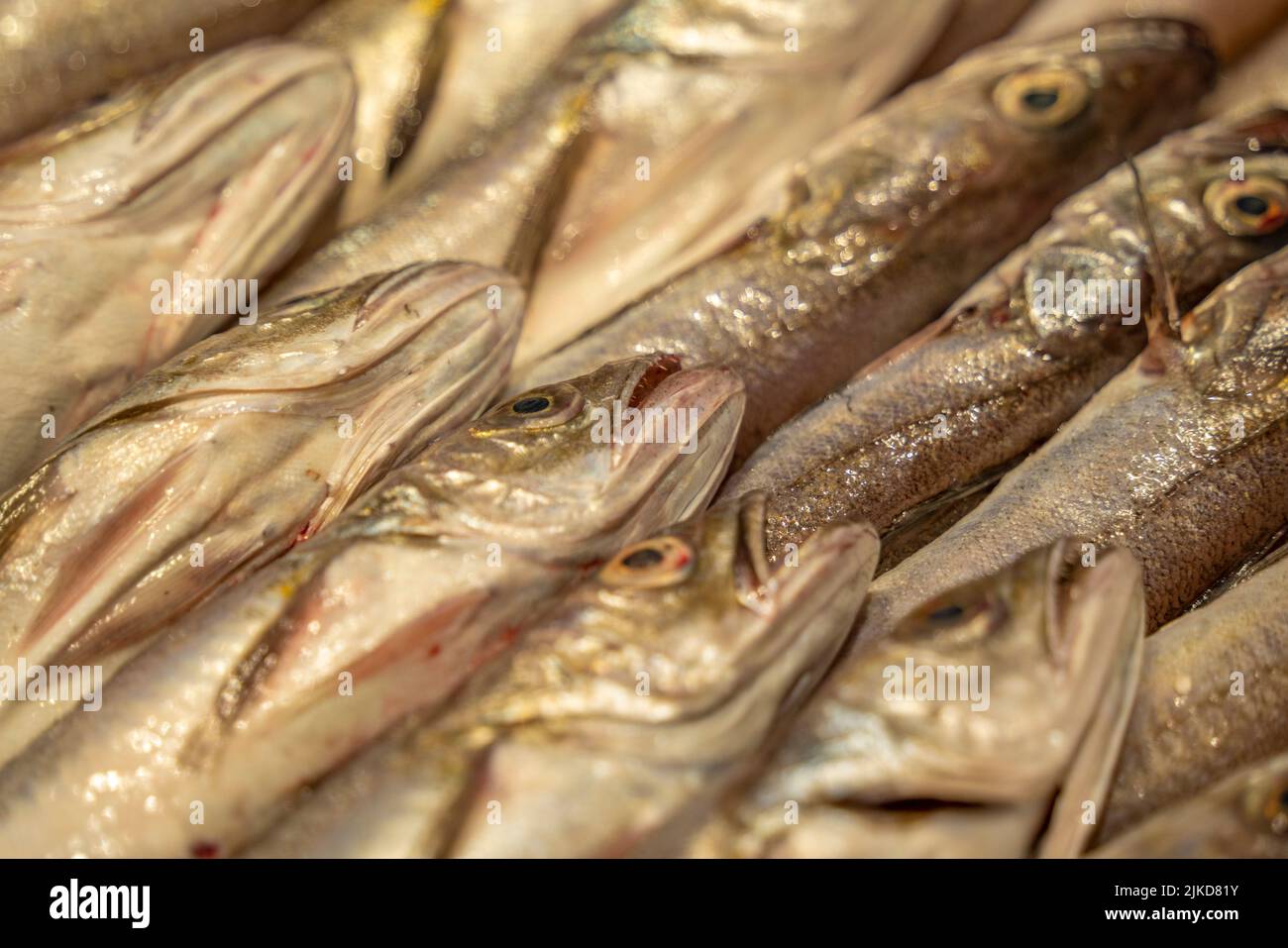 Nahaufnahme des Fischmarktes auf dem Zentralmarkt, Rijeka, Kroatien, Europa Stockfoto