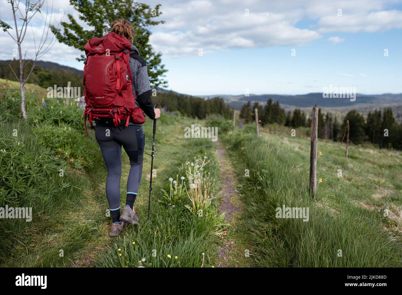 Wandern im Schwarzwald / Wandern im Schwarzwald Stockfoto