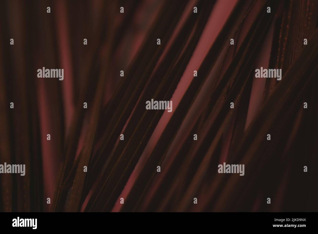 Defokussierte abstrakte Blätter braune Textur Flora Kunst Stockfoto