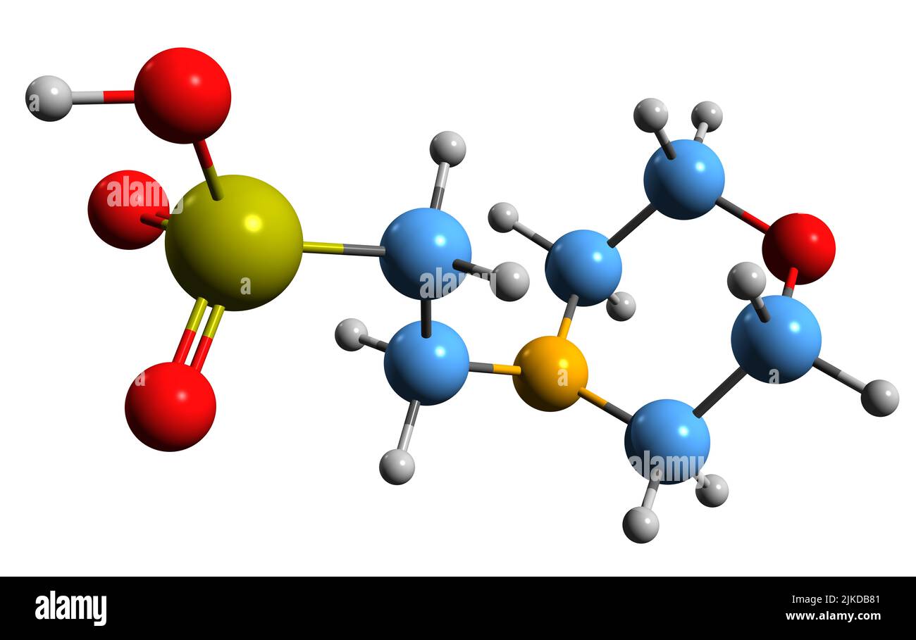 3D Bild der Puffer-Mes-Skelettformel - molekularchemische Struktur der 2-Morpholin-4-Ylethansulfonsäure isoliert auf weißem Hintergrund Stockfoto