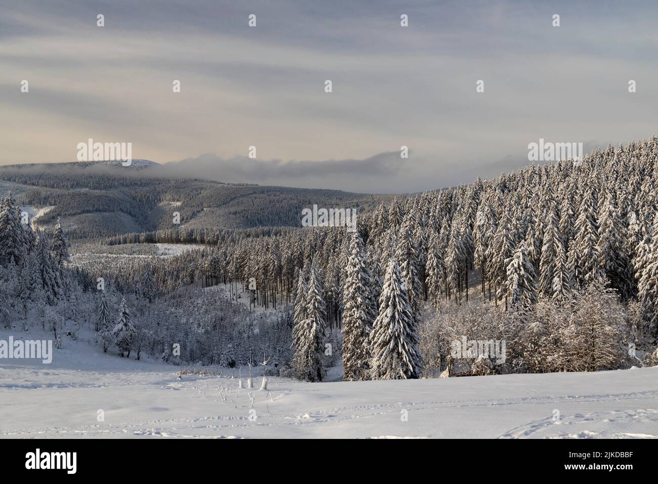 Winterlandschaft mit Snezka, Riesengebirge (Riesengebirge), Nordböhmen, Tschechien. Stockfoto