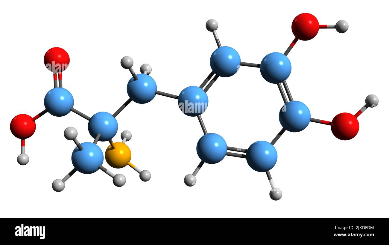 3D Bild der Methyldopa-Skelettformel - molekularchemische Struktur von Hochdruckmedikamenten auf weißem Hintergrund isoliert Stockfoto