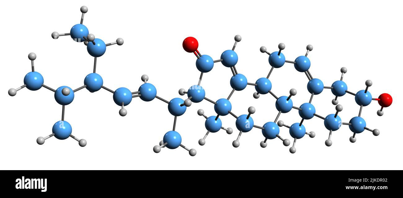 3D Bild der Momordenol-Skelettformel - molekularchemische Struktur der natürlichen chemischen Verbindung isoliert auf weißem Hintergrund Stockfoto