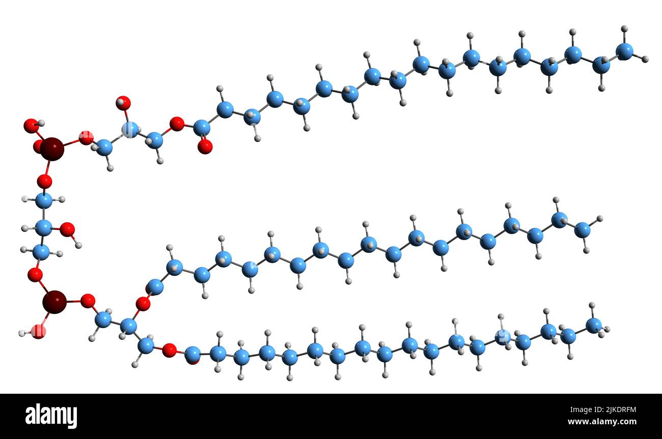 3D Aufnahme der Skelettformel von Monolysocardiolipin - molekularchemische Struktur des Phospholipids MLCL auf weißem Hintergrund isoliert Stockfoto