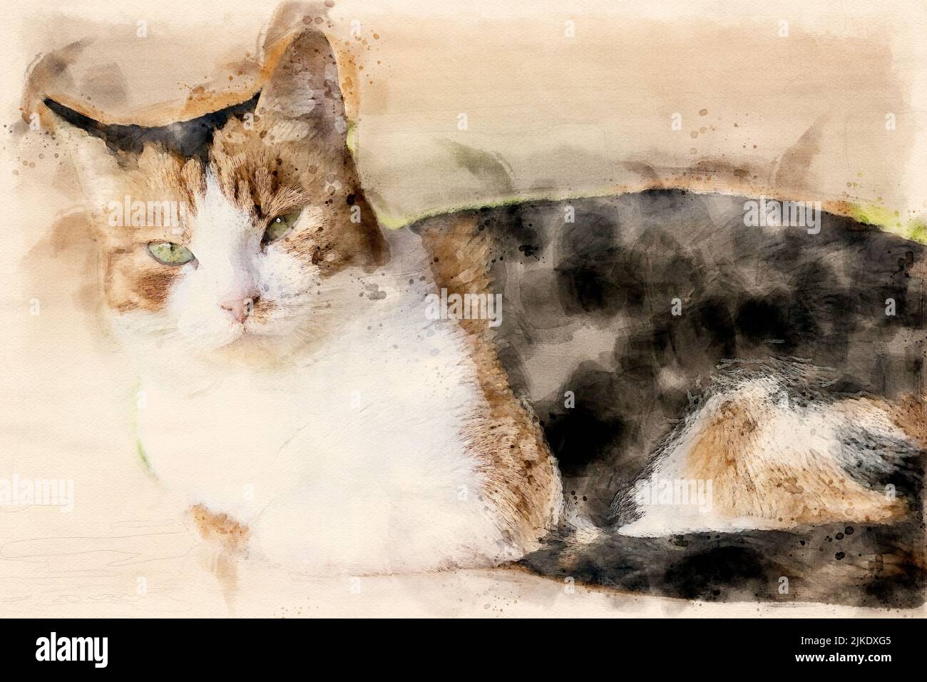 Aquarell-Gemälde einer Katze auf der Bank in der Sommersaison Stockfoto