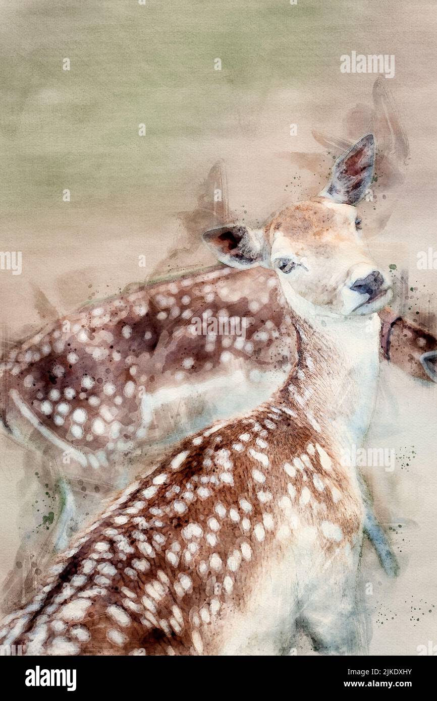 Aquarell-Gemälde von zwei schönen weiblichen Hirschen in der Natur Stockfoto