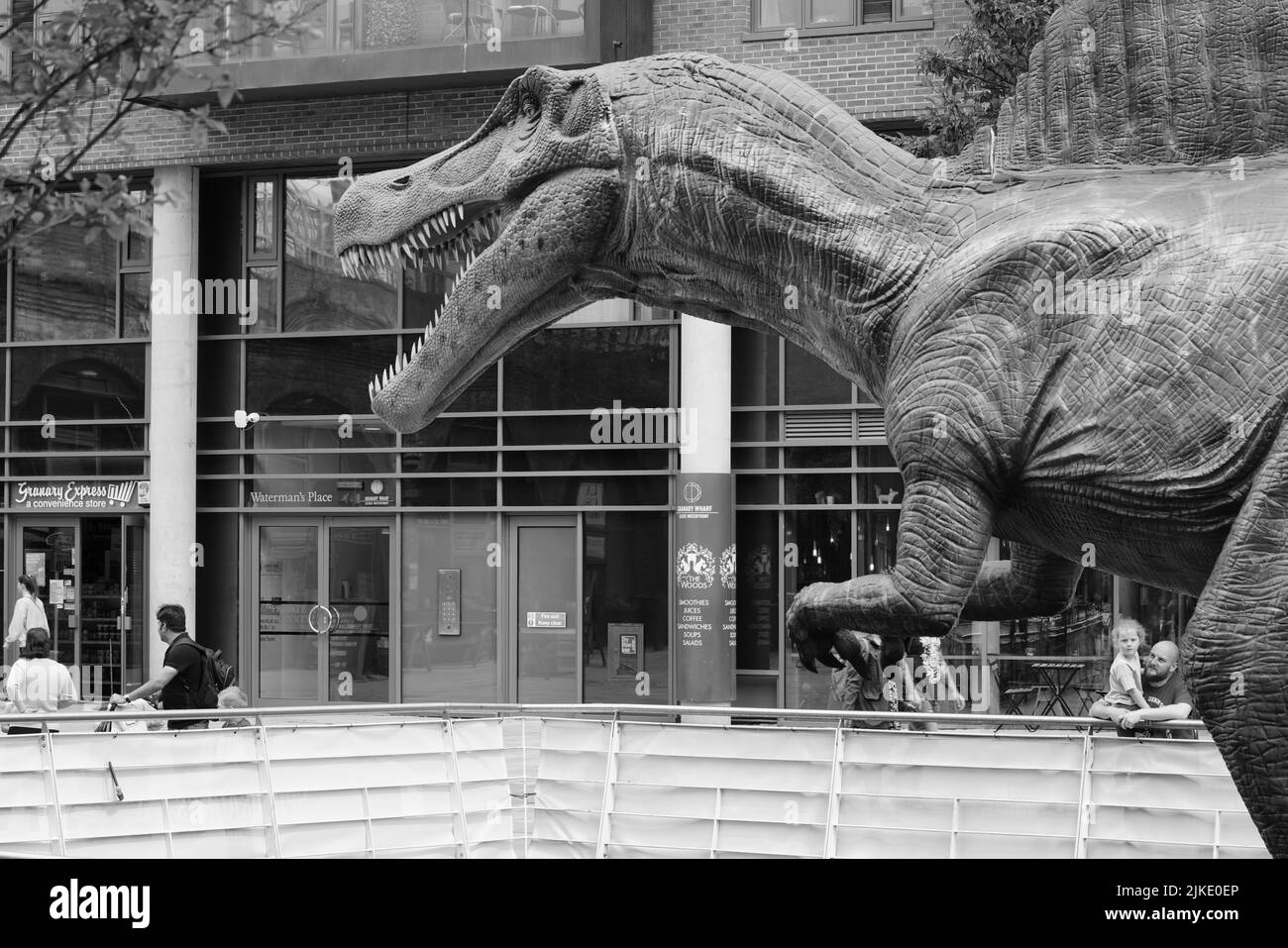Leeds Jurassic Trail Granary Wharf 2022 Stockfoto