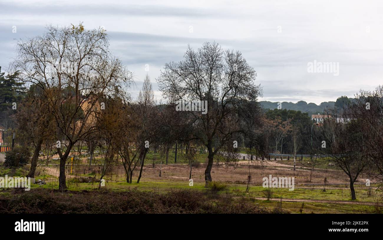 Plantas y Vistas del Parque Regional del Curso Medio del Río Guadarrama en la Comunidad de Madrid, España Stockfoto