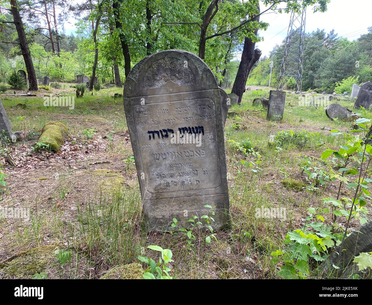 Ruinen des alten jüdischen Friedhofs in Otwock Polen cmentarz żydowski w Otwock Grabsteine jüdischer Friedhof jüdischer Friedhof beit kvarot jüdischer Grabstein Stockfoto