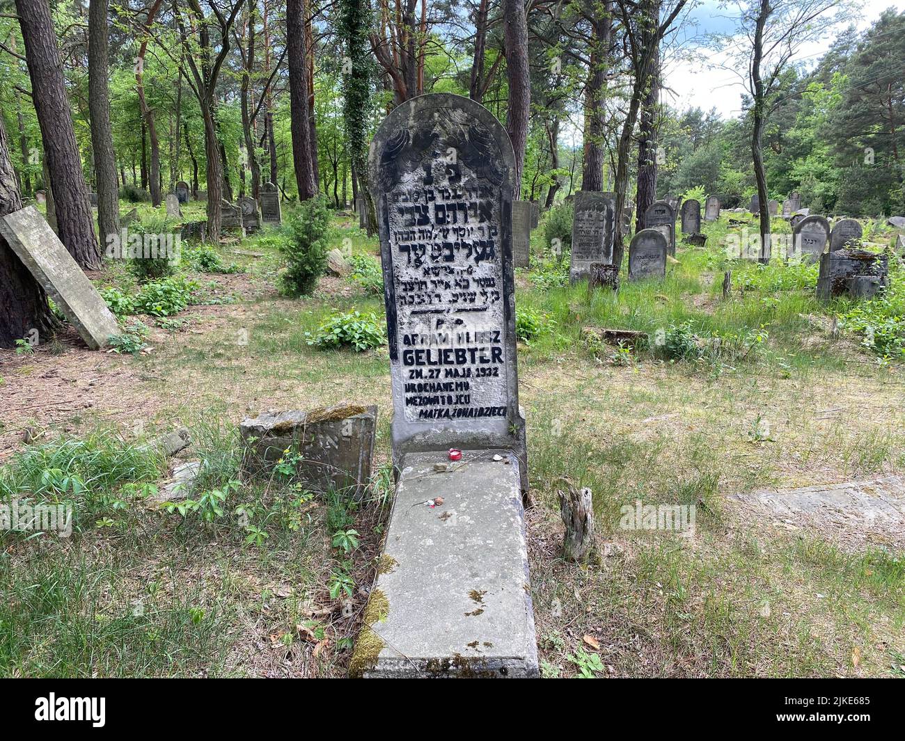 Ruinen des alten jüdischen Friedhofs in Otwock Polen cmentarz żydowski w Otwock Grabsteine jüdischer Friedhof jüdischer Friedhof beit kvarot jüdischer Grabstein Stockfoto