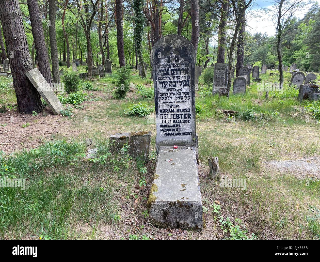 Ruinen des alten jüdischen Friedhofs in Otwock Polen cmentarz żydowski w Otwock Grabsteine jüdischer Friedhof jüdischer Friedhof beit kvarot jüdischer Grabstein Stockfoto