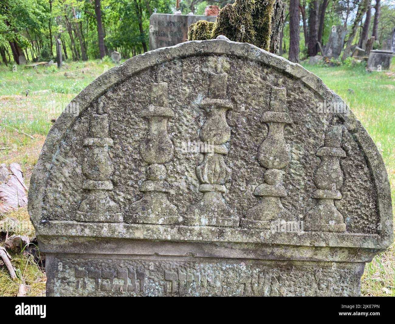 Ruinen des alten jüdischen Friedhofs in Otwock Polen cmentarz żydowski w Otwock Grabsteine jüdischer Friedhof jüdischer Friedhof beit kvarot jüdischer Grabstein Stockfoto