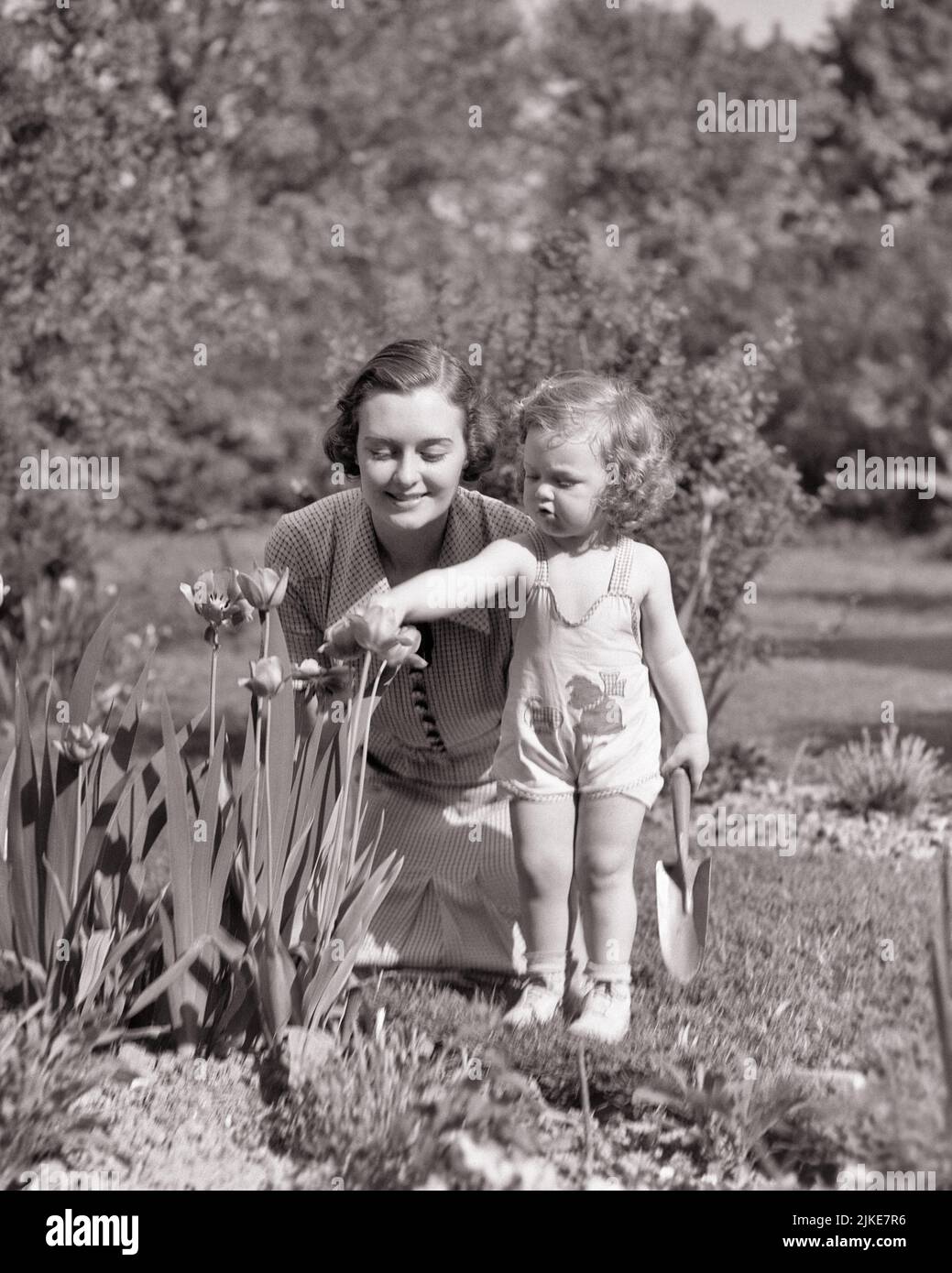 1930S 1940S MUTTER UND KLEINKIND IM GARTEN MIT BLICK AUF TULPEN MÄDCHEN TRAGEN EINEN STRAMPLER PLAYSUIT UND HÄLT EINEN GARTEN KELLE - J247 HAR001 HARS TEAMWORK FAMILIEN FREUDE LIFESTYLE FRAUEN GESUNDHEIT HEIM LEBEN NATUR KOPIEREN RAUM FREUNDSCHAFT HALBLANGE TÖCHTER FÜRSORGLICHES B&W GLÜCK KELLE ENTDECKUNG FREIZEIT UND TULPEN VERBINDUNG STILVOLLE ZUSAMMENARBEIT WACHSTUM JUGENDLICHE MÜTTER SAISON FRÜHLING ZWEISAMKEIT JUNGE ERWACHSENE FRAU BABY MÄDCHEN SCHWARZ UND WEISS KAUKASISCHEN ETHNIZITÄT HAR001 ALTMODISCH Stockfoto